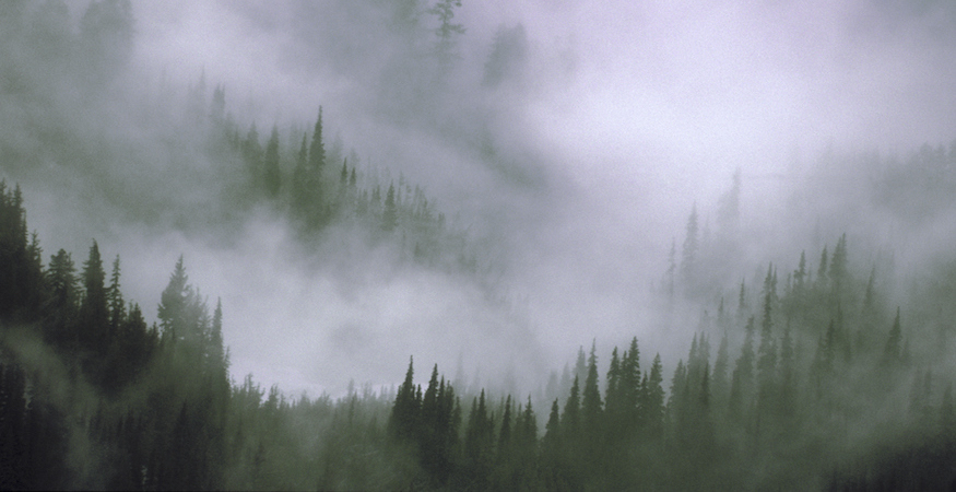 Identifying Value in Evergreen Content
