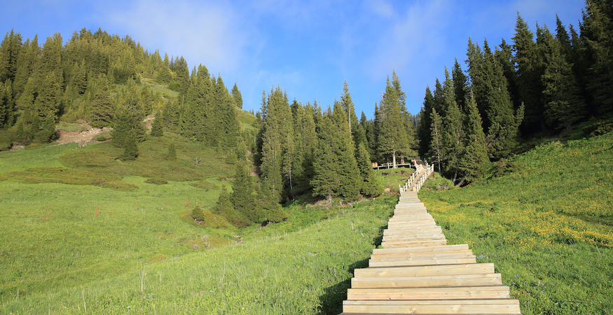 Discover the Health Benefits of Daily Walking